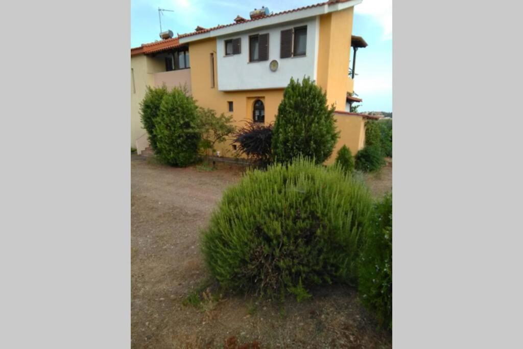 "Klio" Appartment Nikiti  Ngoại thất bức ảnh